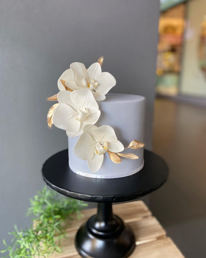 Grey and White Orchids