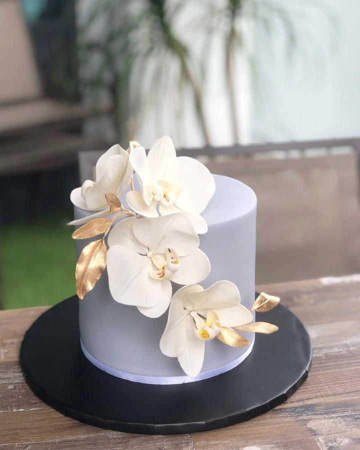 Grey and White Orchids